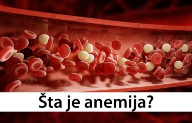 Šta je anemija?