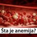 Šta je anemija?